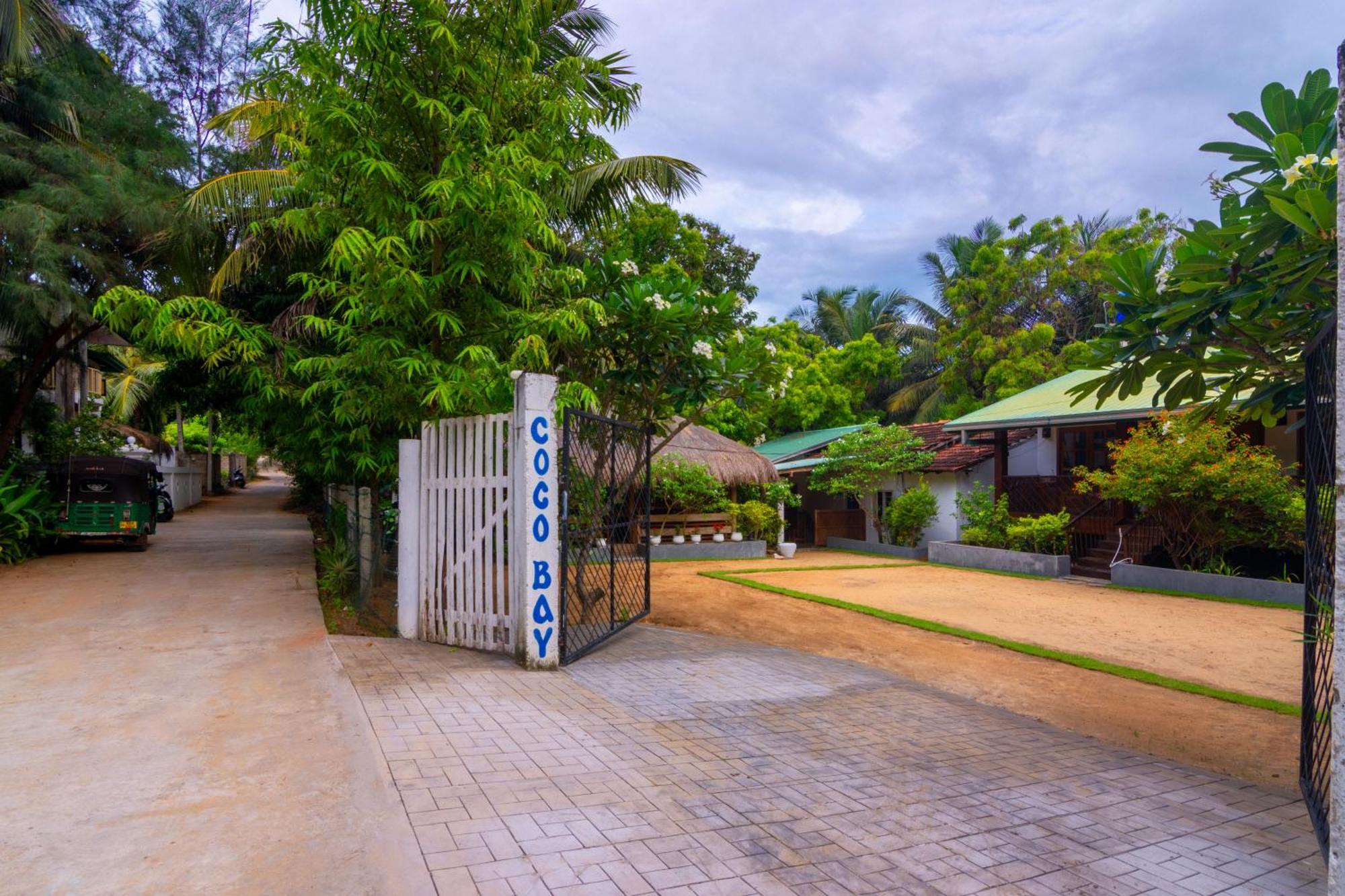 فندق Arugambay Coco Bay آروغام المظهر الخارجي الصورة