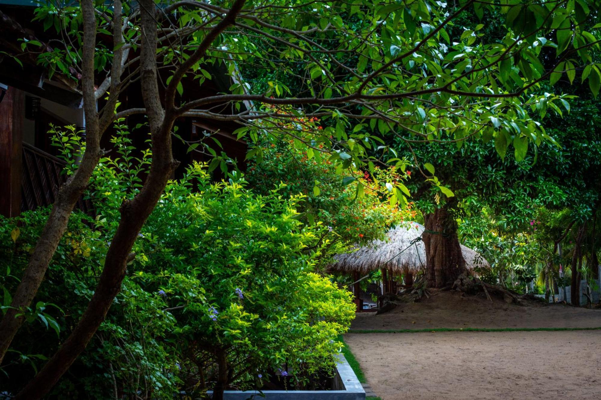فندق Arugambay Coco Bay آروغام المظهر الخارجي الصورة