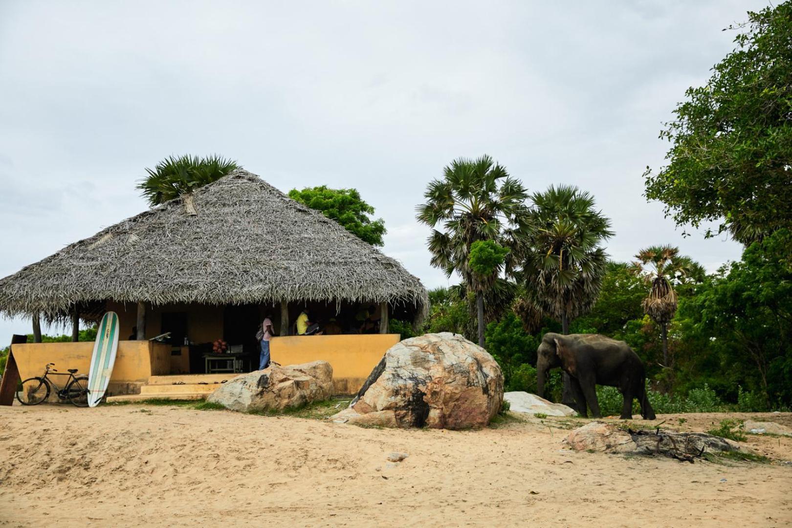 فندق Arugambay Coco Bay آروغام المظهر الخارجي الصورة