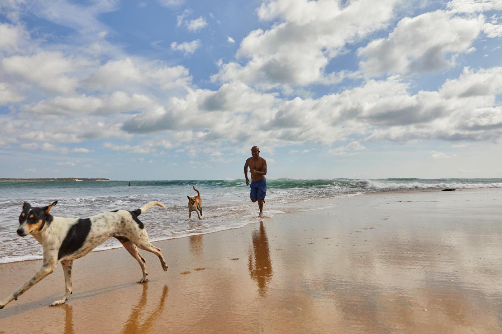 فندق Arugambay Coco Bay آروغام المظهر الخارجي الصورة